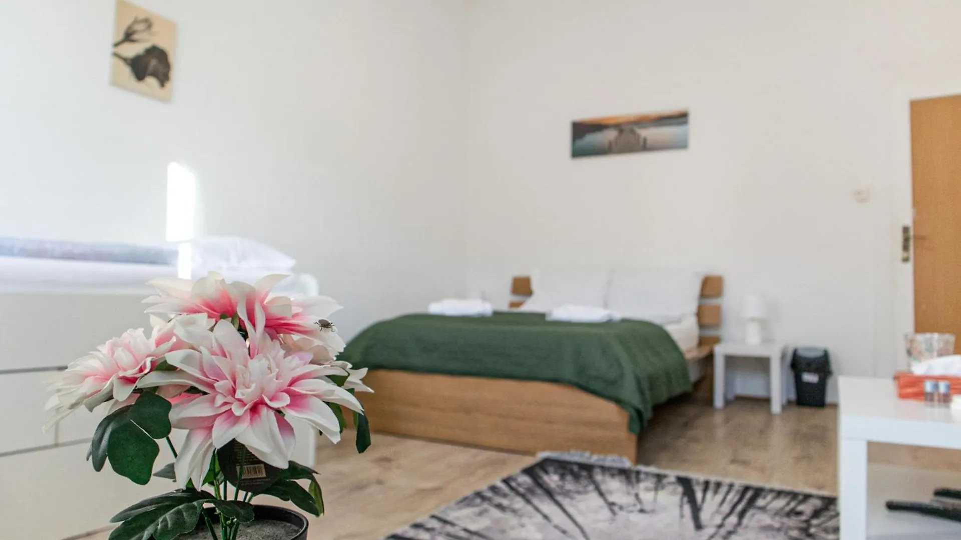 Convenient Shared Apartment - Near Danube & Millenium Tower Vienna