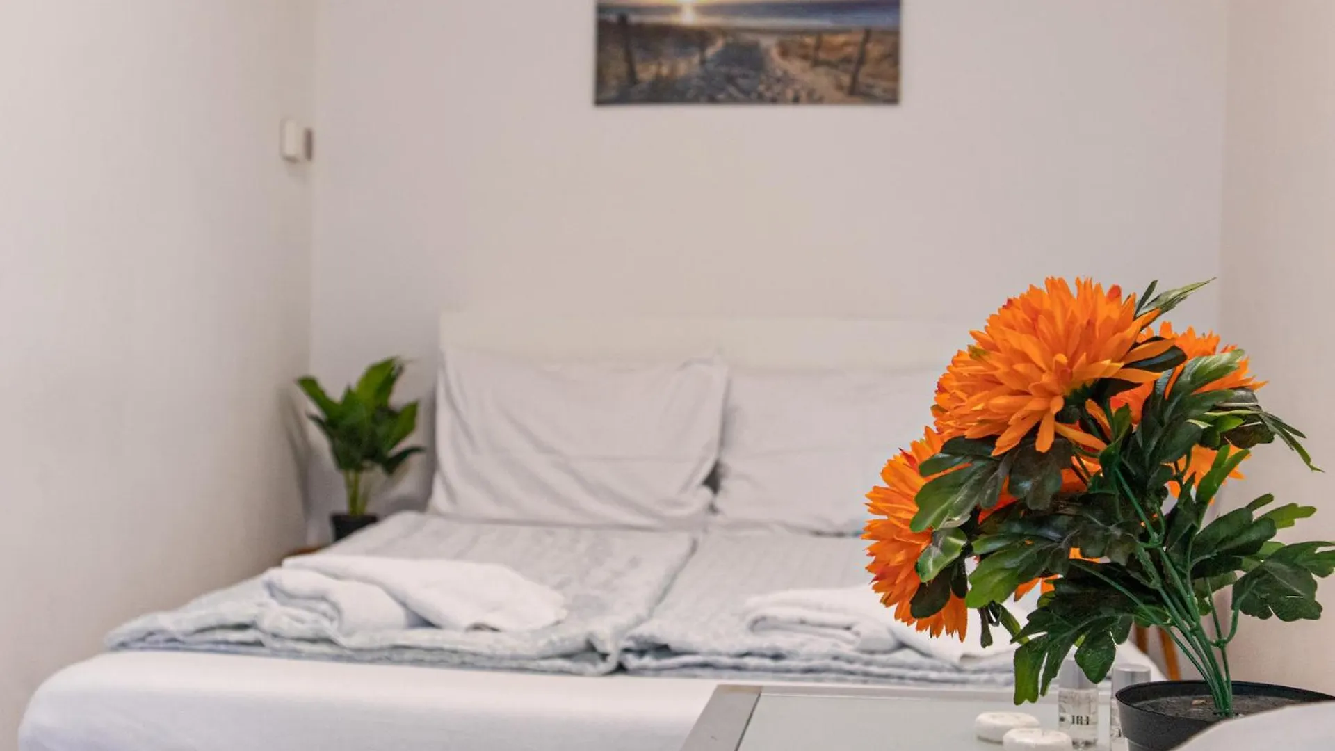 Convenient Shared Apartment - Near Danube & Millenium Tower Vienna 0*,  Austria